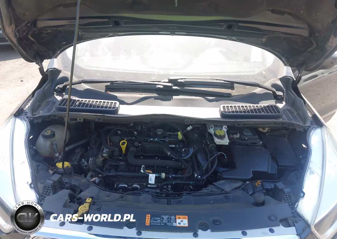 2019 Ford Escape Se VIN:1FMCU9GD2KUA37556 - 10