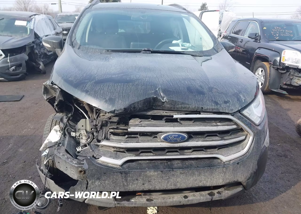 2020 Ford Ecosport Se VIN:MAJ6S3GL3LC341696 - 12