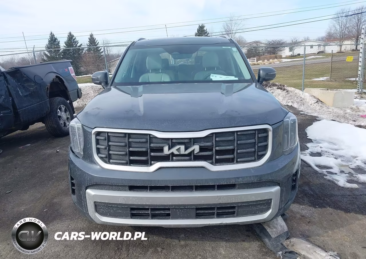 2024 Kia Telluride S VIN:5XYP6DGC6RG508453 - 12