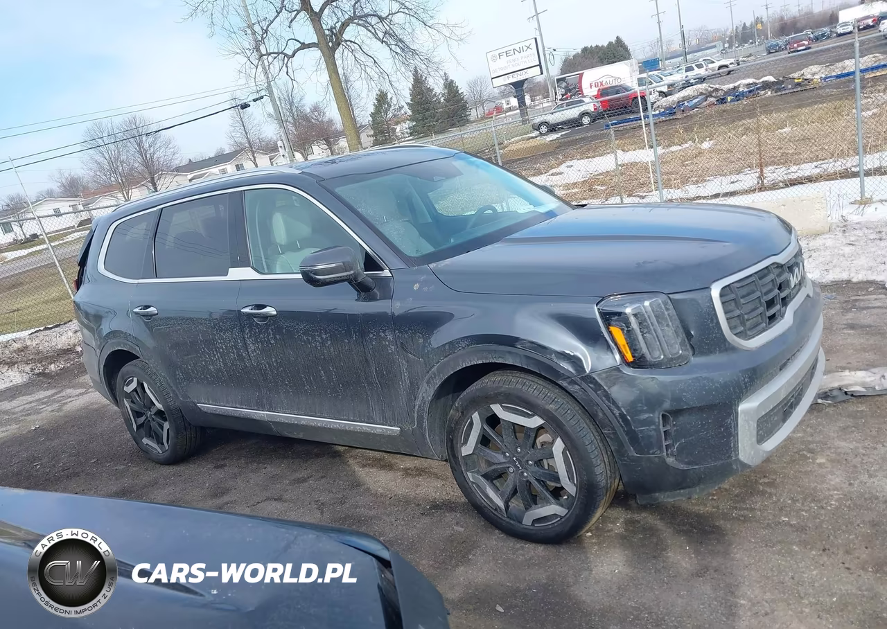 2024 Kia Telluride S VIN:5XYP6DGC6RG508453 - 13