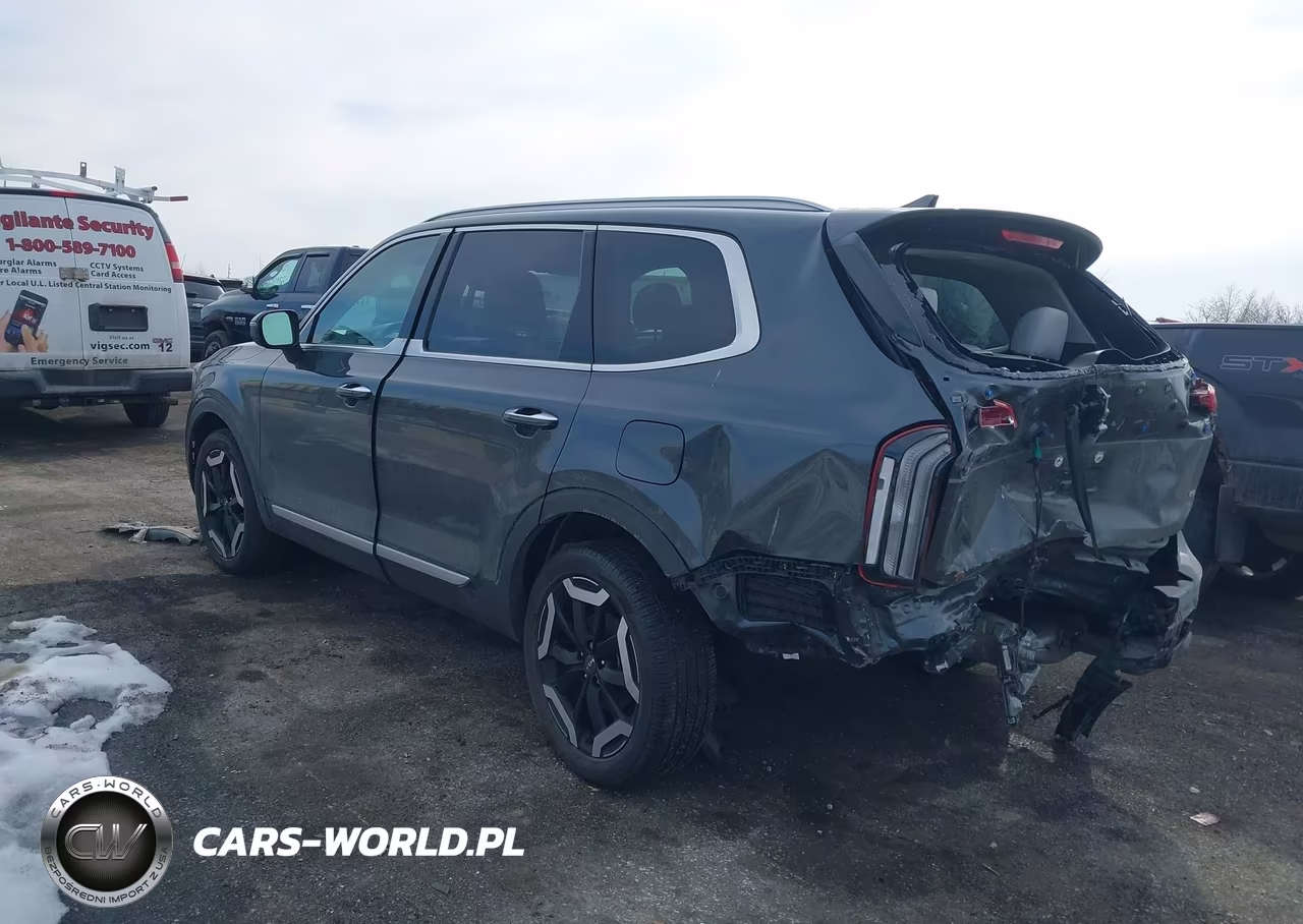 2024 Kia Telluride S VIN:5XYP6DGC6RG508453 - 3