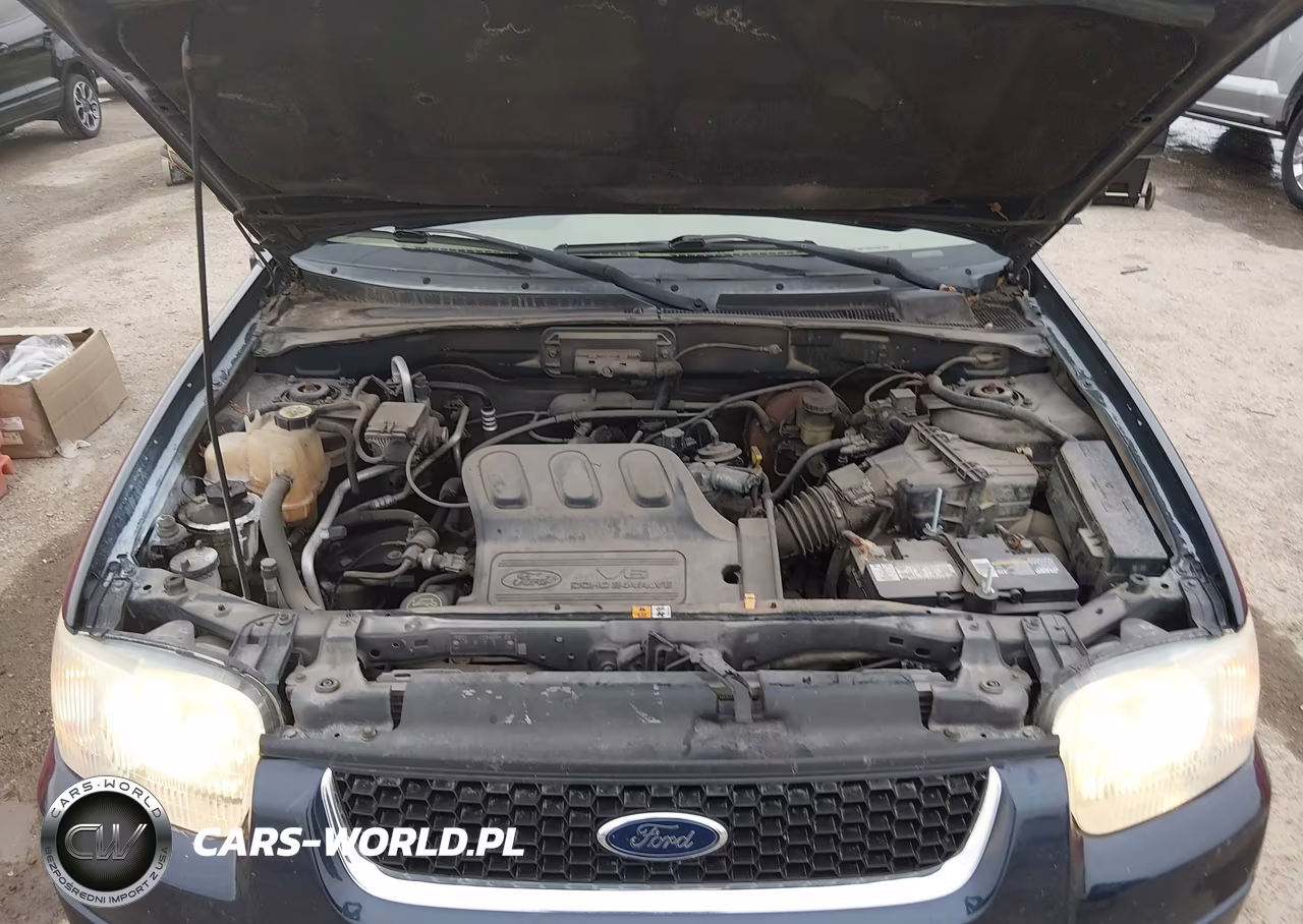2004 Ford Escape Limited VIN:1FMCU94154KB10573 - 10