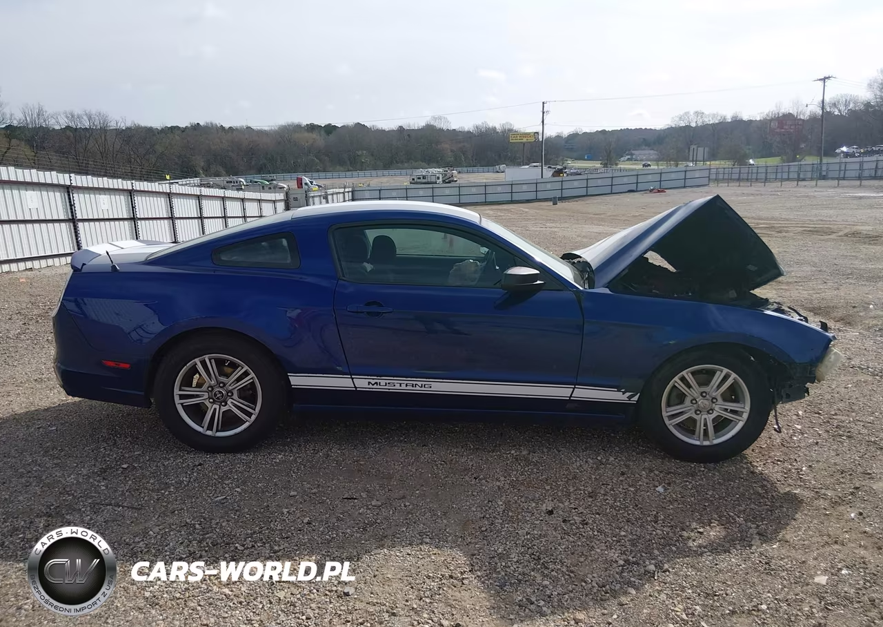 2013 Ford Mustang V6 VIN:1ZVBP8AM4D5235883 - 13