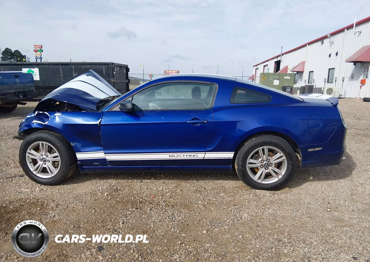 2013 Ford Mustang V6 VIN:1ZVBP8AM4D5235883 - 14