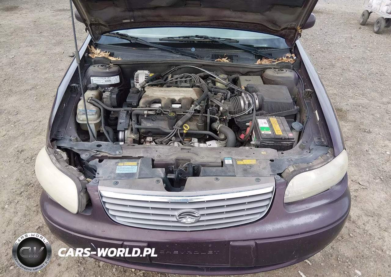 1999 Chevrolet Malibu Ls VIN:1G1NE52M4XY145146 - 10