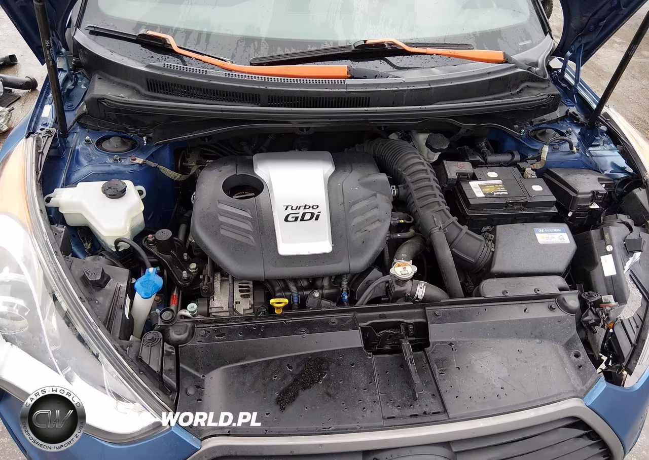 2016 Hyundai Veloster Turbo Rally Edition VIN:KMHTC6AE2GU251165 - 10
