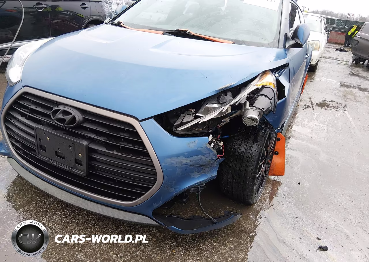 2016 Hyundai Veloster Turbo Rally Edition VIN:KMHTC6AE2GU251165 - 6