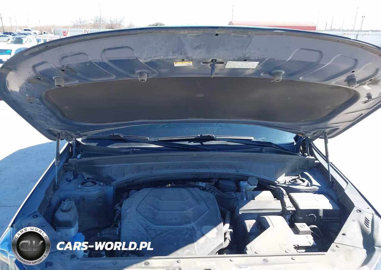 2023 Kia Telluride S VIN:5XYP6DGC3PG357455 - 10