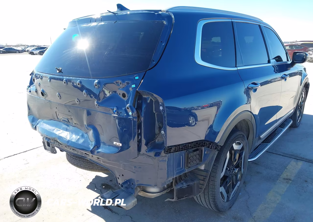 2023 Kia Telluride S VIN:5XYP6DGC3PG357455 - 19