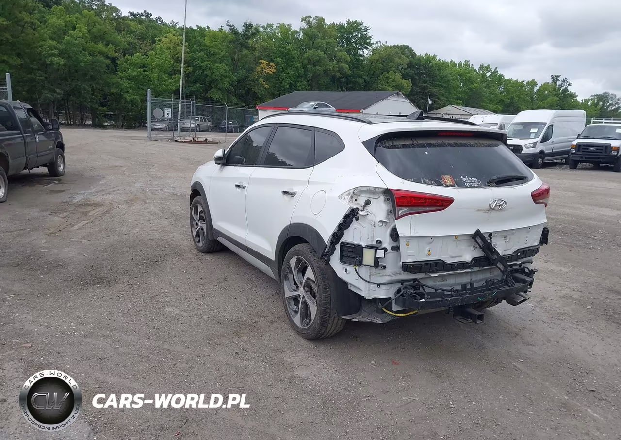 2018 Hyundai Tucson Limited VIN:KM8J3CA26JU825379 - 3