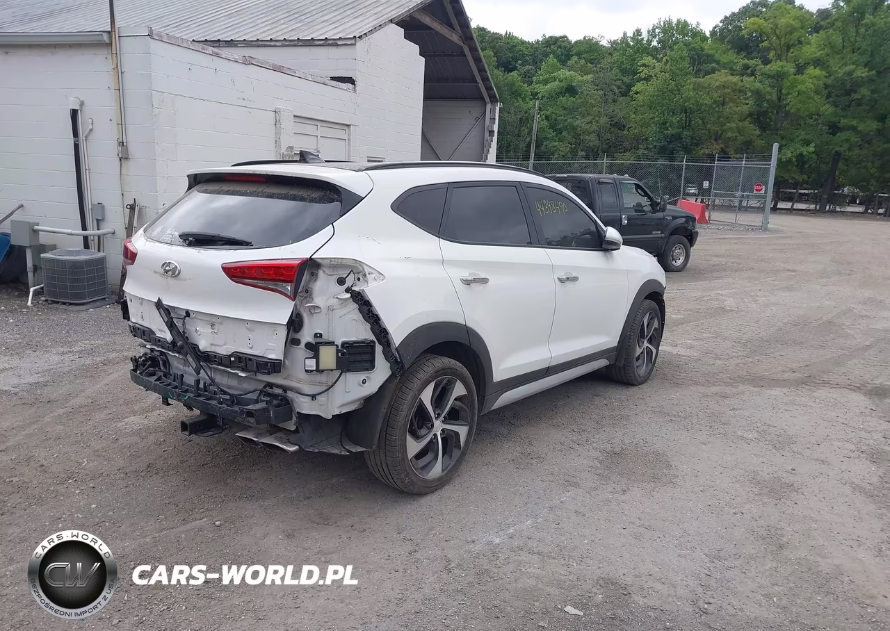2018 Hyundai Tucson Limited VIN:KM8J3CA26JU825379 - 4