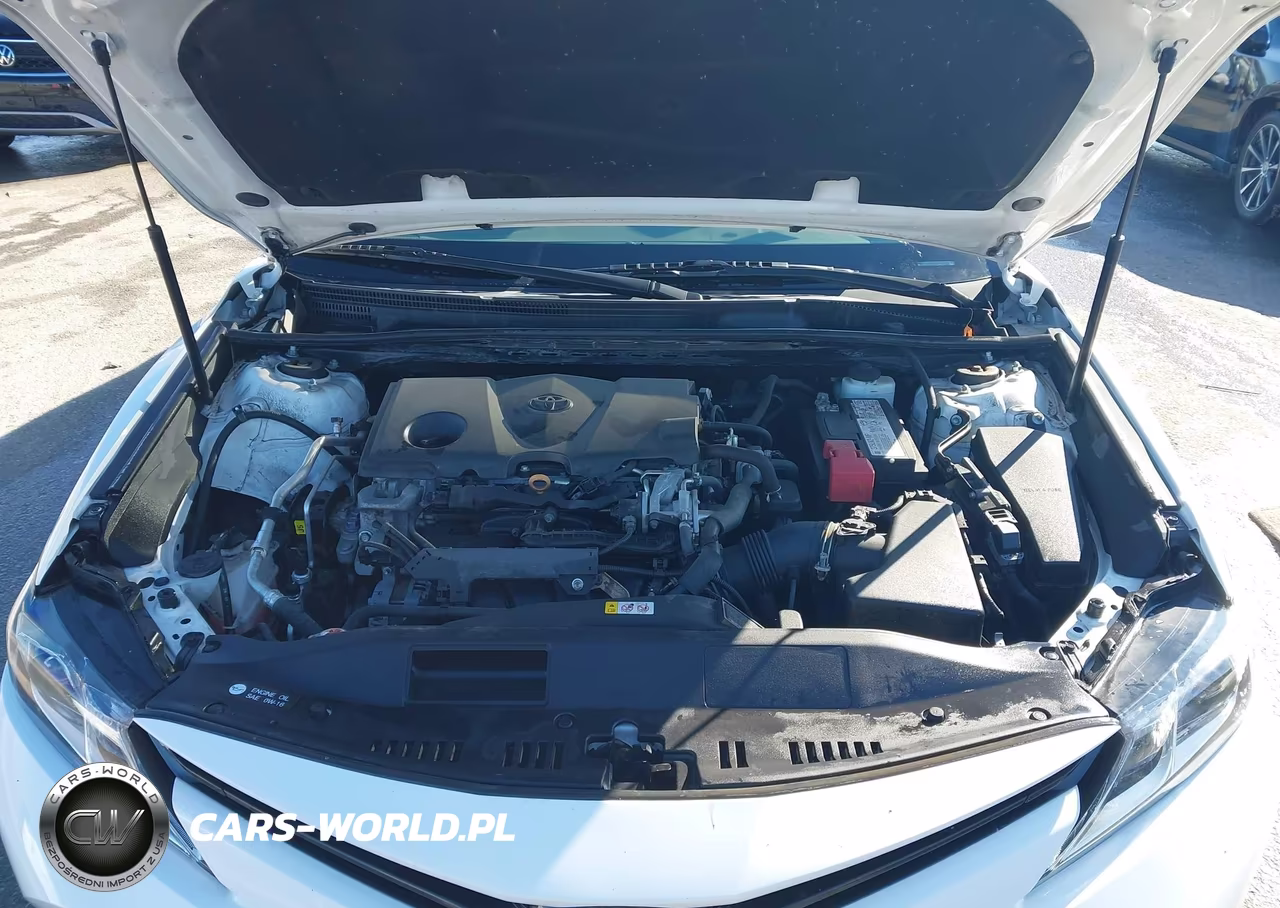 2020 Toyota Camry Le VIN:4T1C11AK2LU876920 - 10