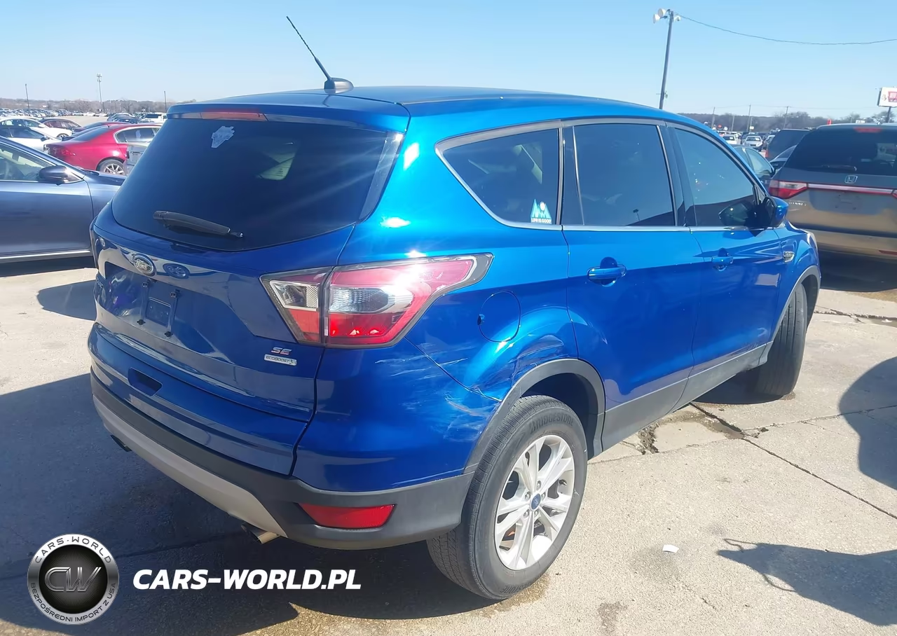 2017 Ford Escape Se VIN:1FMCU0GD2HUB15192 - 4