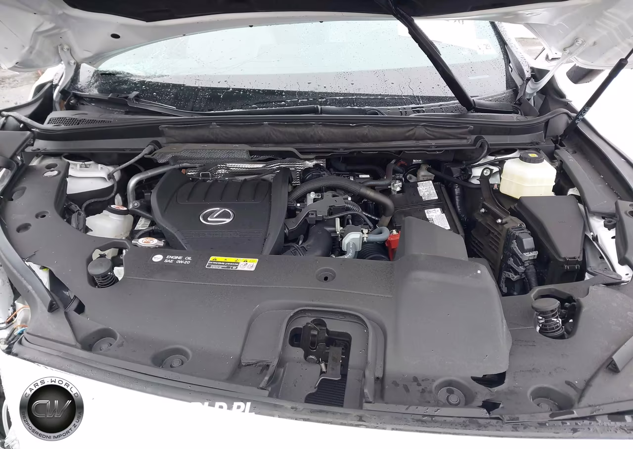 2024 Lexus Rx 350 Premium VIN:2T2BAMCA3RC054067 - 10