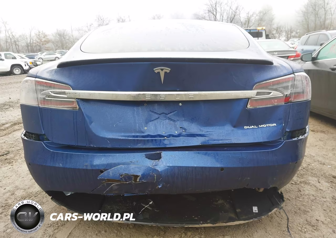 2021 Tesla Model S Long Range Dual Motor All-Wheel Drive-Long Range Plus Dual Motor All-Wheel Drive VIN:5YJSA1E27MF424529 - 17