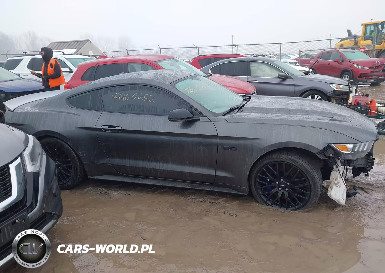 2017 Ford Mustang Gt Premium VIN:1FA6P8CF8H5346578 - 13