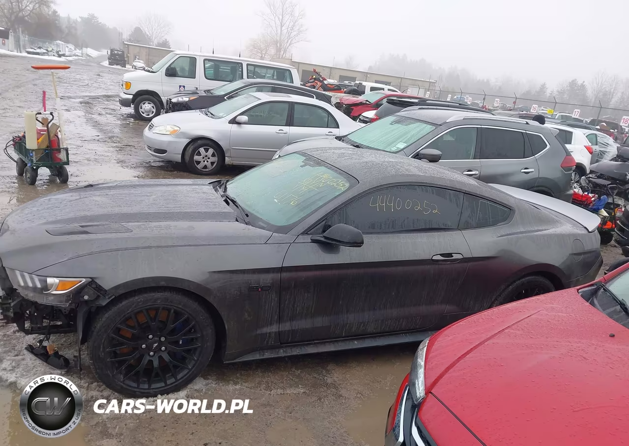 2017 Ford Mustang Gt Premium VIN:1FA6P8CF8H5346578 - 14