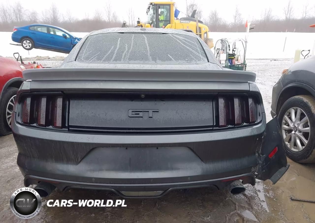 2017 Ford Mustang Gt Premium VIN:1FA6P8CF8H5346578 - 16