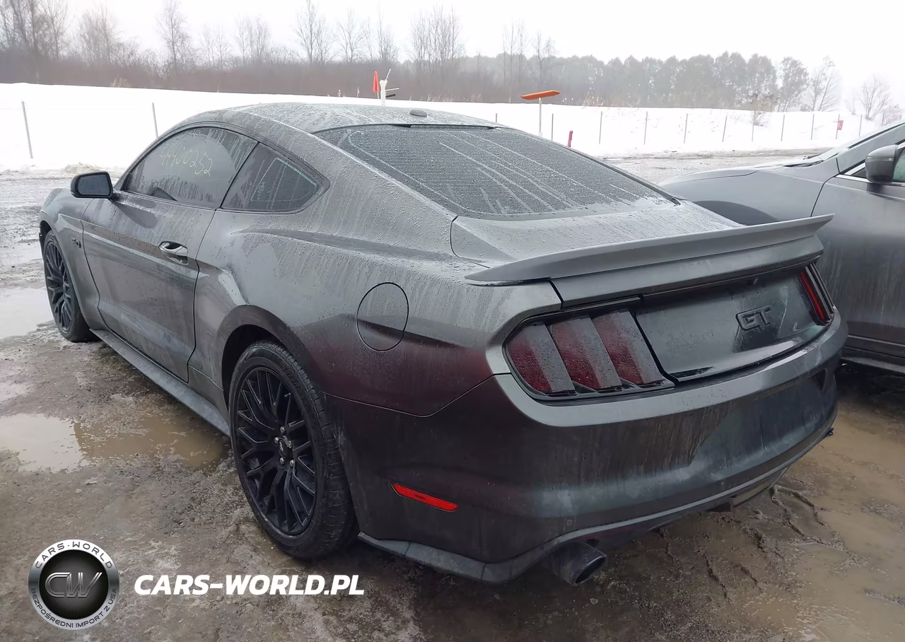 2017 Ford Mustang Gt Premium VIN:1FA6P8CF8H5346578 - 3