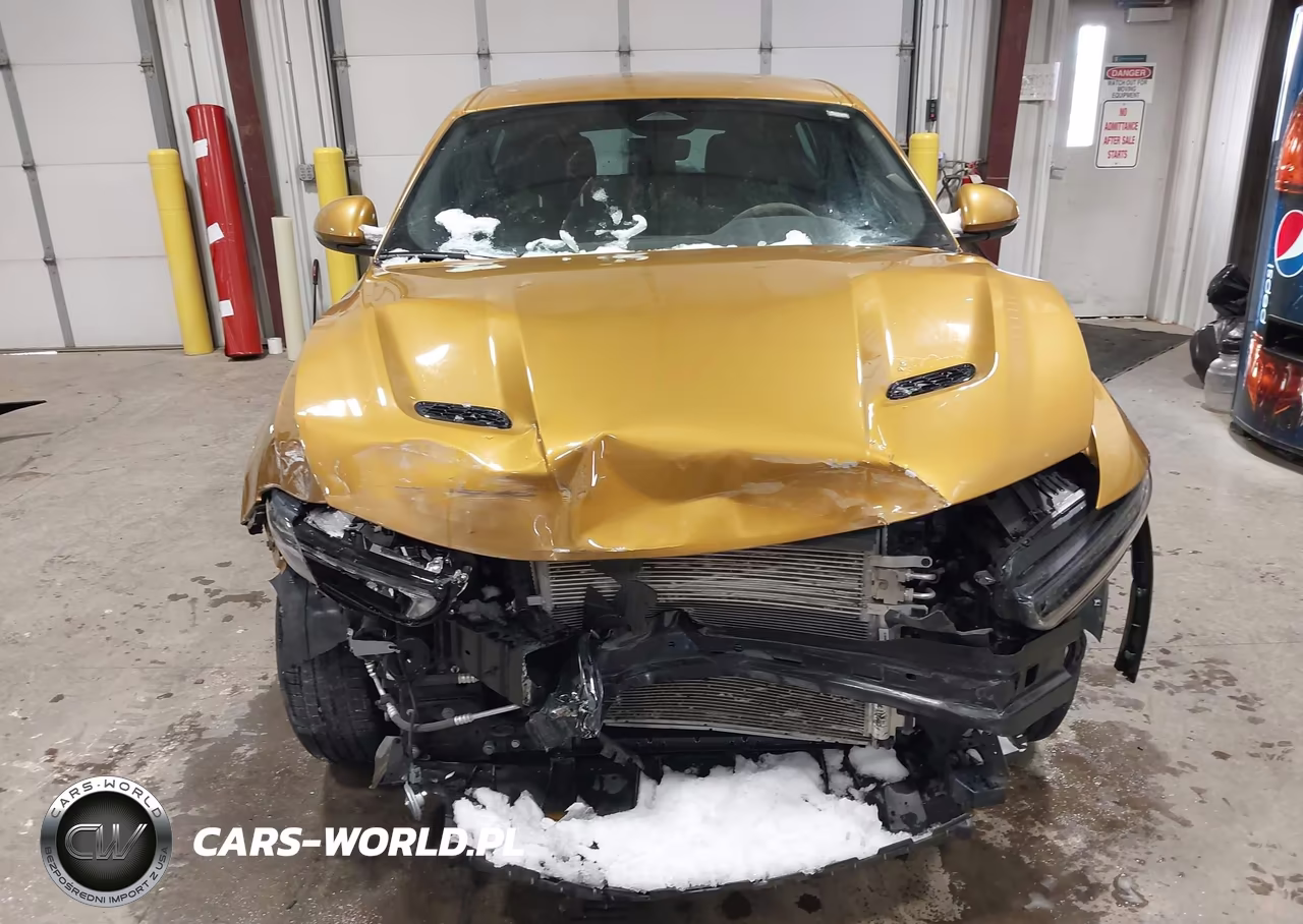 2024 Dodge Hornet Gt Awd VIN:ZACNDFAN5R3A44324 - 12