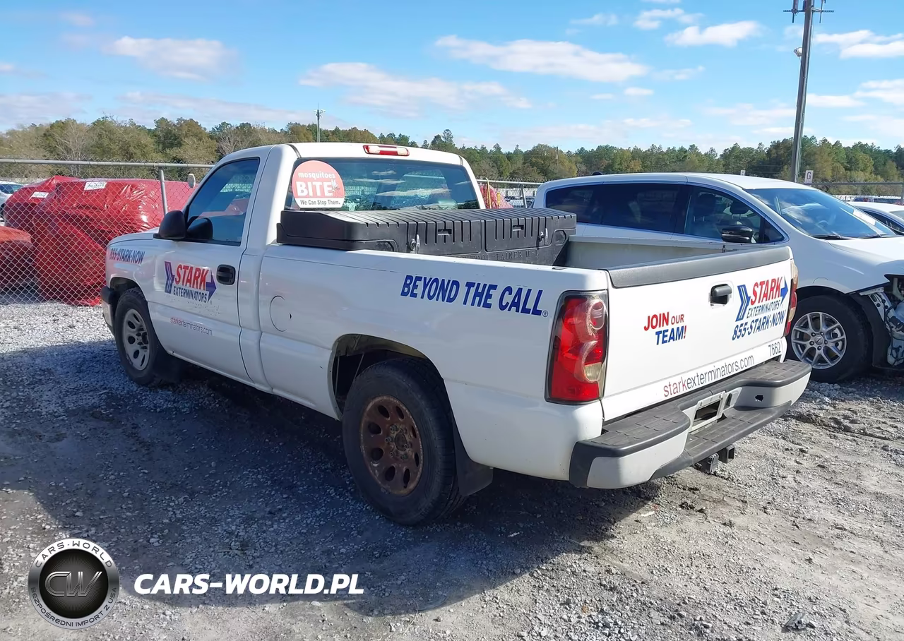 2006 Chevrolet Silverado 1500 Work Truck VIN:3GCEC14X46G256186 - 3