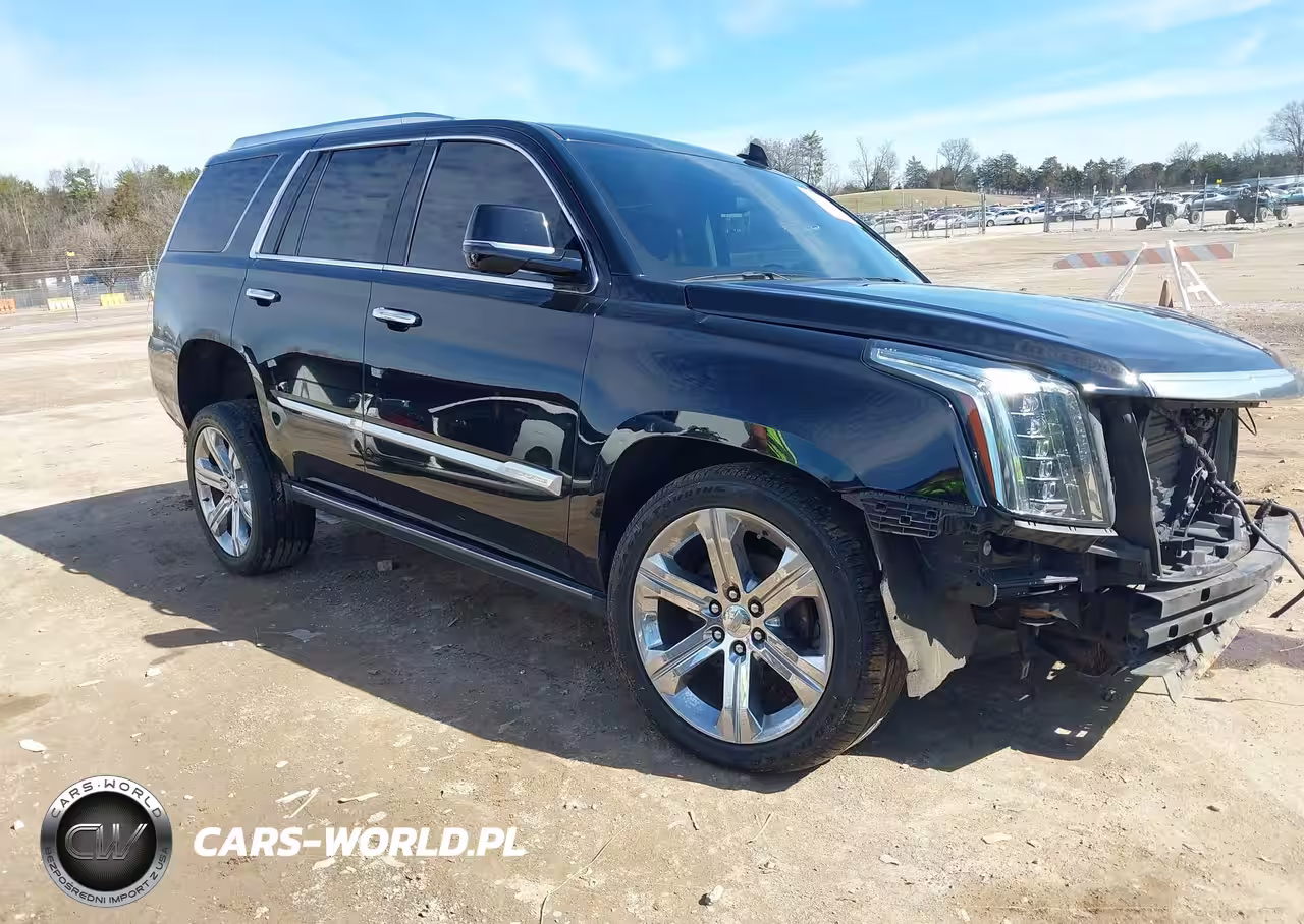 Główne zdjęcie 2020 Cadillac Escalade 2Wd Premium Luxury