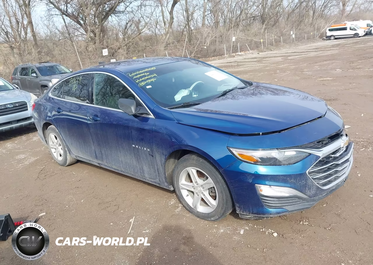 2019 Chevrolet Malibu 1Fl