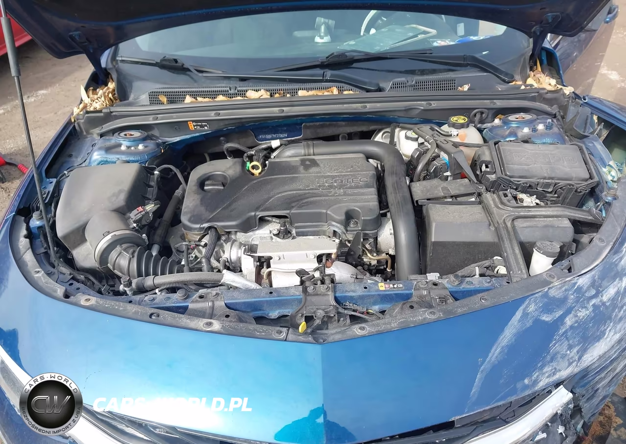 2019 Chevrolet Malibu 1Fl VIN:1G1ZC5ST9KF210639 - 10