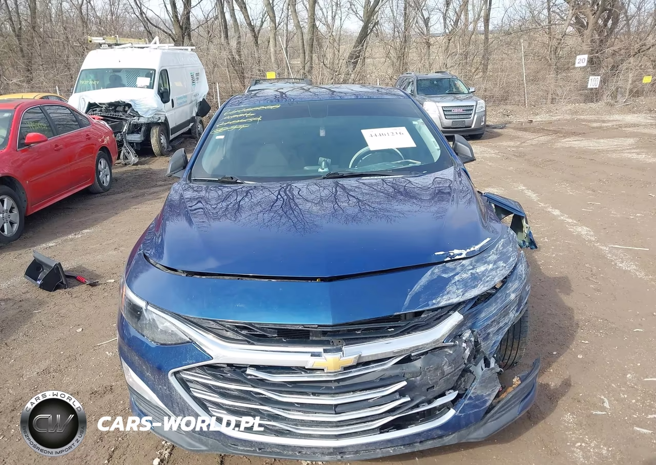 2019 Chevrolet Malibu 1Fl VIN:1G1ZC5ST9KF210639 - 11