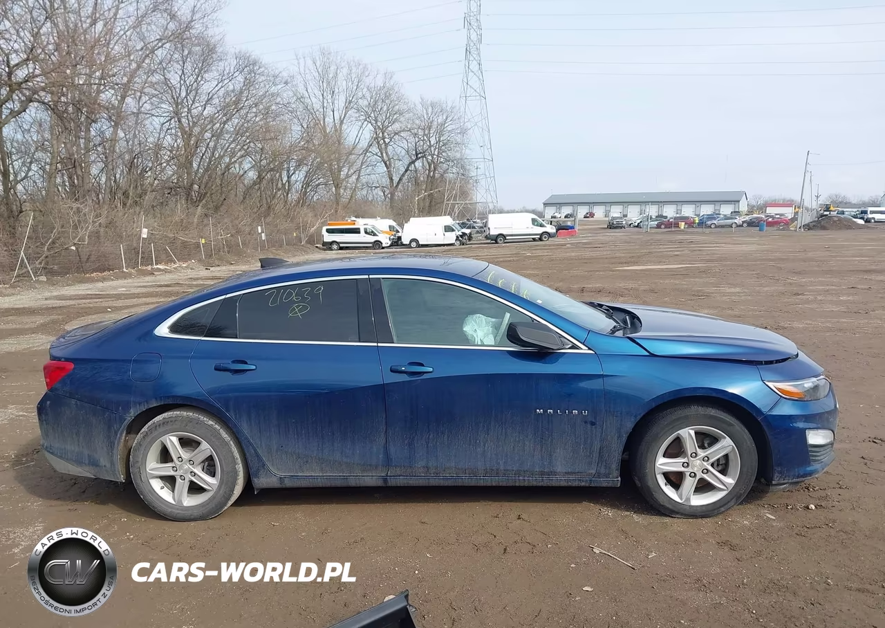 2019 Chevrolet Malibu 1Fl VIN:1G1ZC5ST9KF210639 - 12