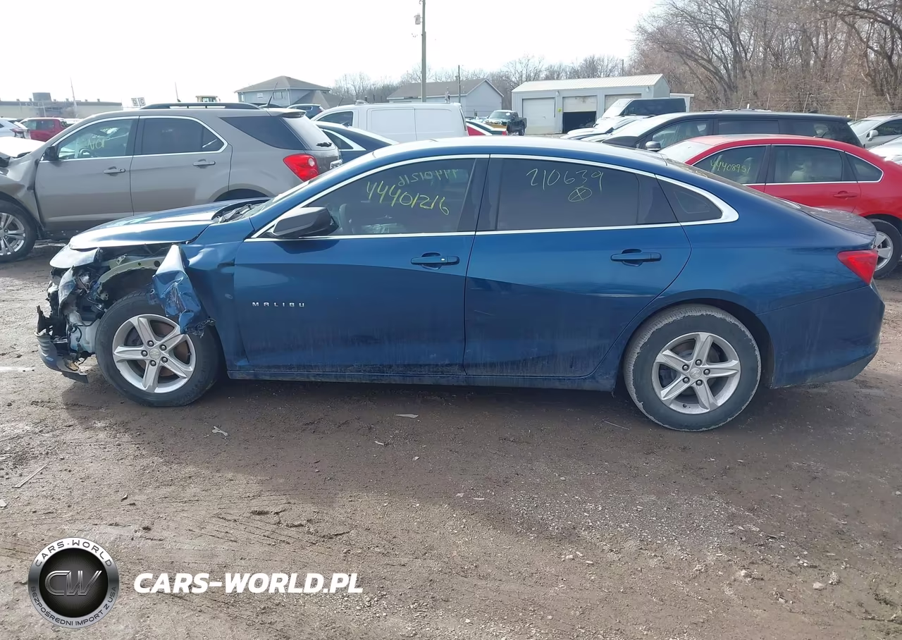 2019 Chevrolet Malibu 1Fl VIN:1G1ZC5ST9KF210639 - 13