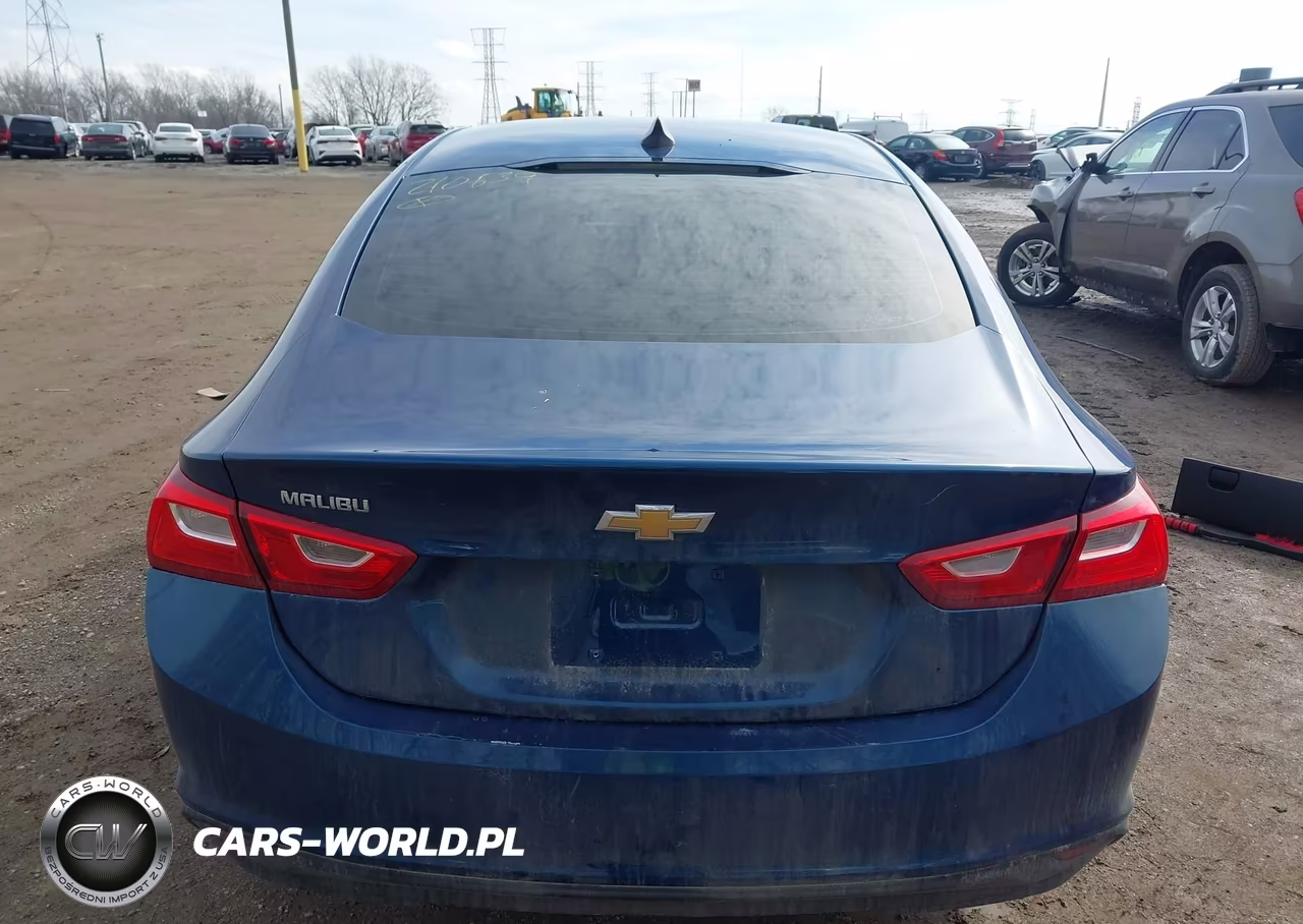 2019 Chevrolet Malibu 1Fl VIN:1G1ZC5ST9KF210639 - 15