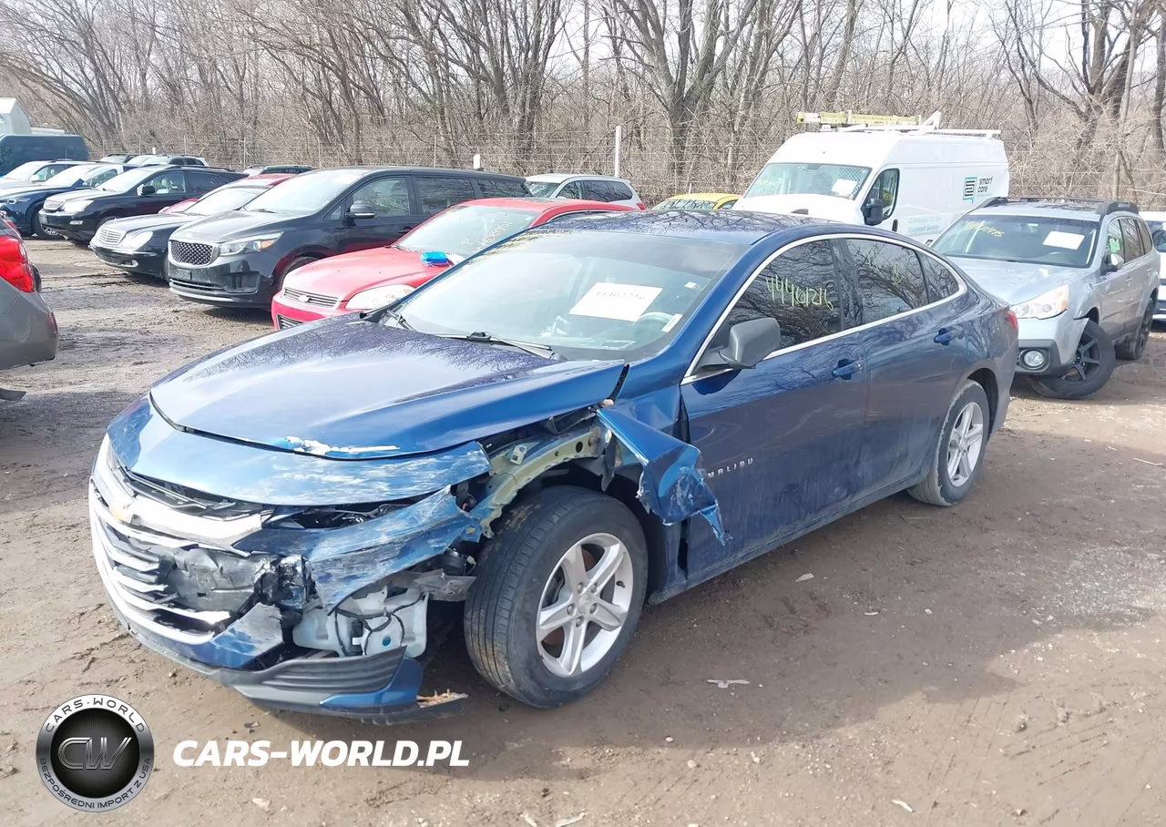 2019 Chevrolet Malibu 1Fl VIN:1G1ZC5ST9KF210639 - 2