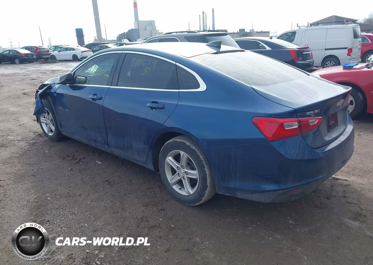 2019 Chevrolet Malibu 1Fl VIN:1G1ZC5ST9KF210639 - 3