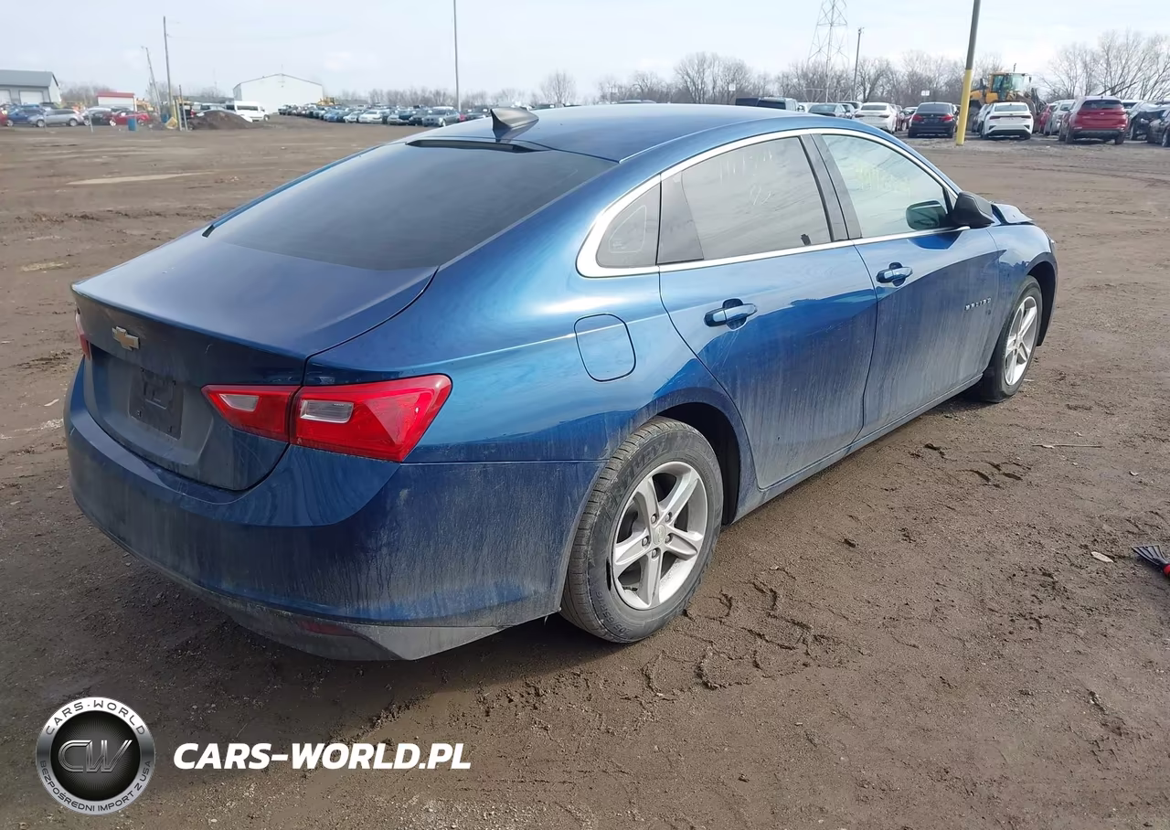 2019 Chevrolet Malibu 1Fl VIN:1G1ZC5ST9KF210639 - 4