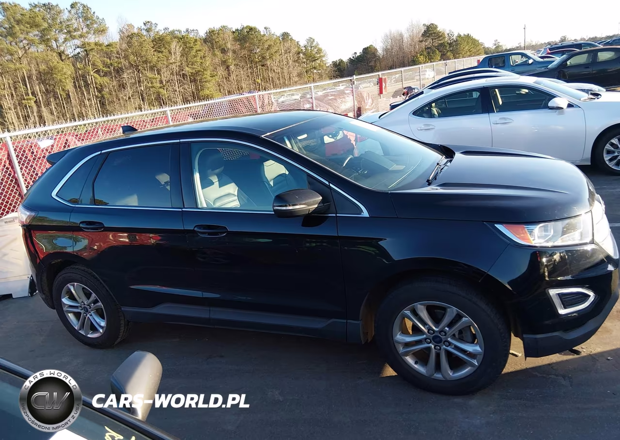 2016 Ford Edge Sel VIN:2FMPK3J96GBB99101 - 13