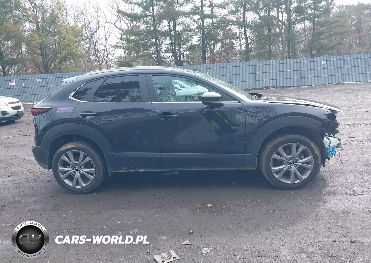 2023 Mazda Cx-30 2.5 S Select VIN:3MVDMBBM2PM563753 - 13