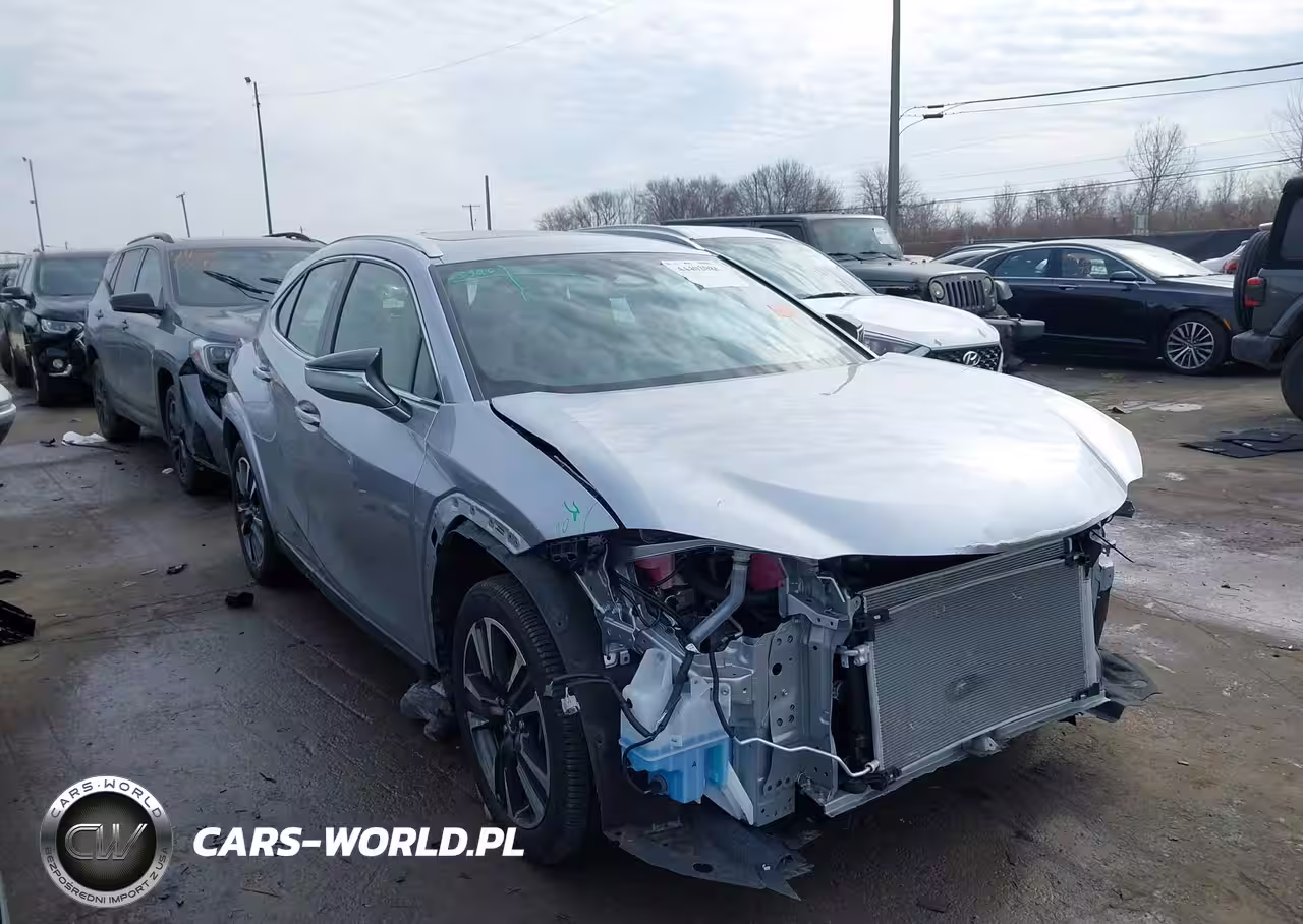 2025 Lexus Ux 300H Premium
