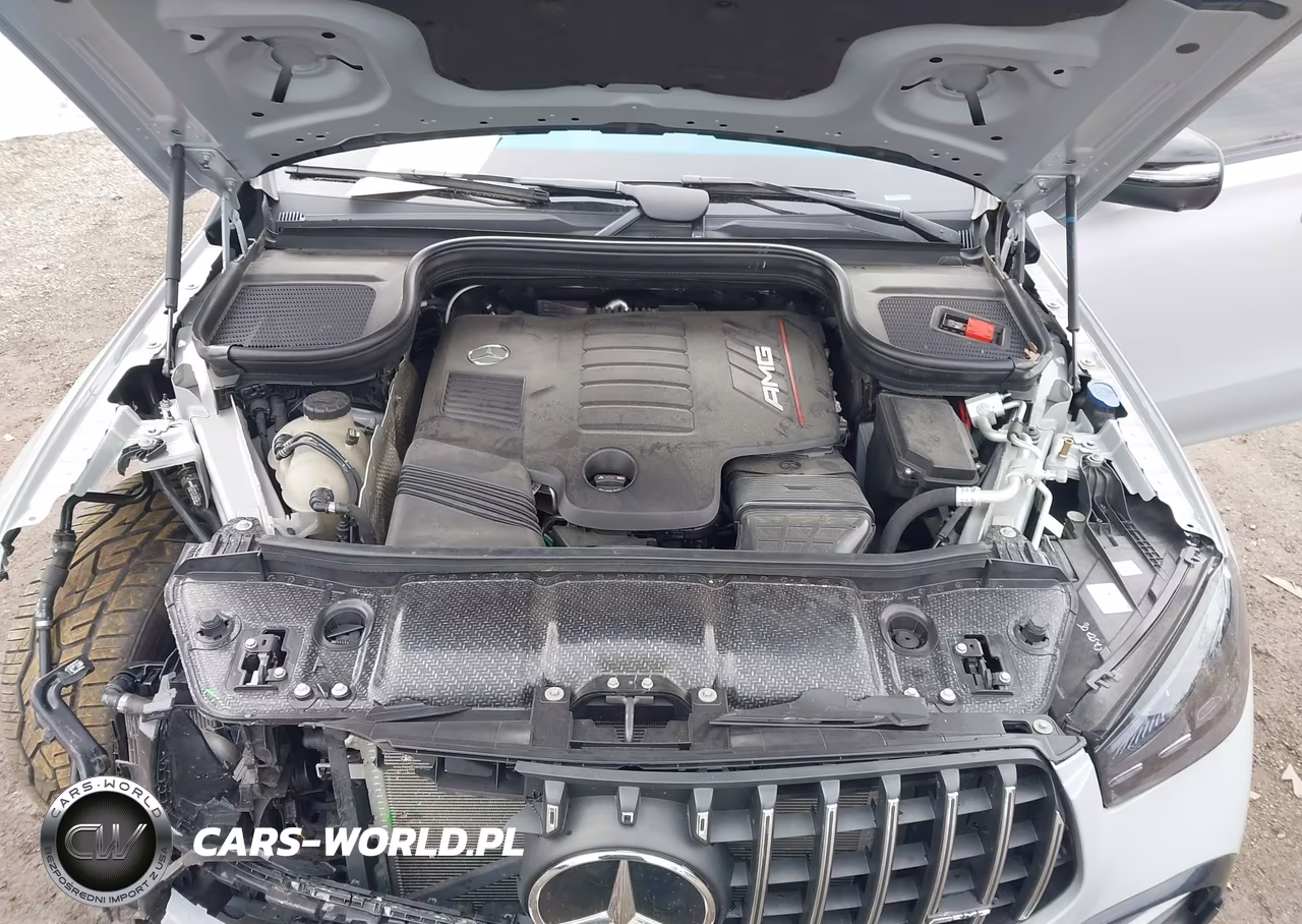 2024 Mercedes-Benz Amg Gle 53 Coupe 4Matic+ VIN:4JGFD6BB2RB019548 - 10