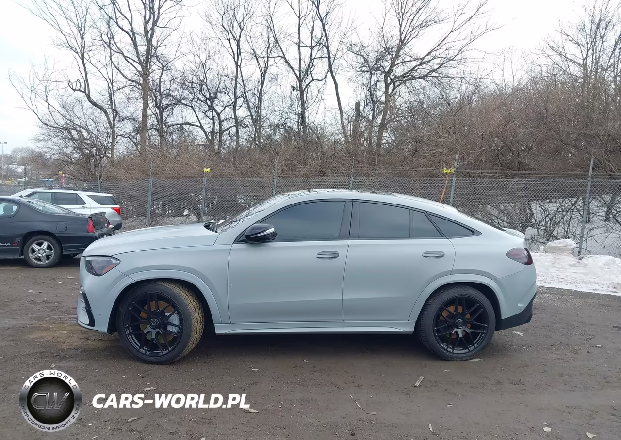 2024 Mercedes-Benz Amg Gle 53 Coupe 4Matic+ VIN:4JGFD6BB2RB019548 - 13