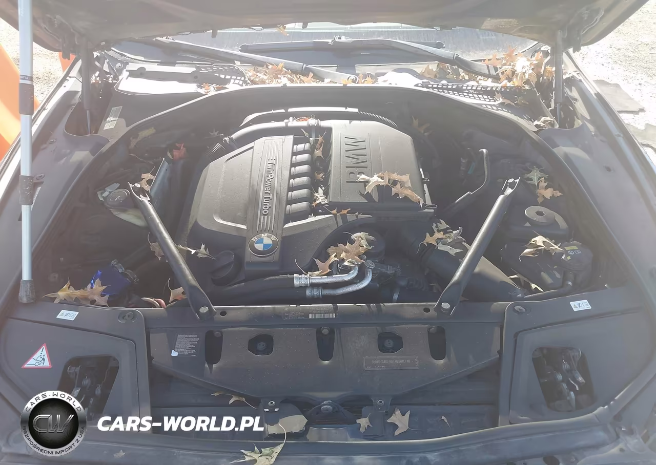 2011 BMW 535I VIN:WBAFR7C51BC804791 - 10