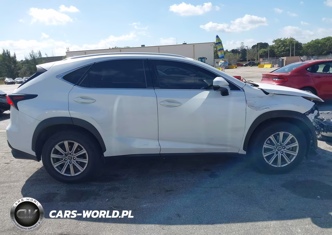 2021 Lexus Nx 300 VIN:JTJDARBZXM5031454 - 14
