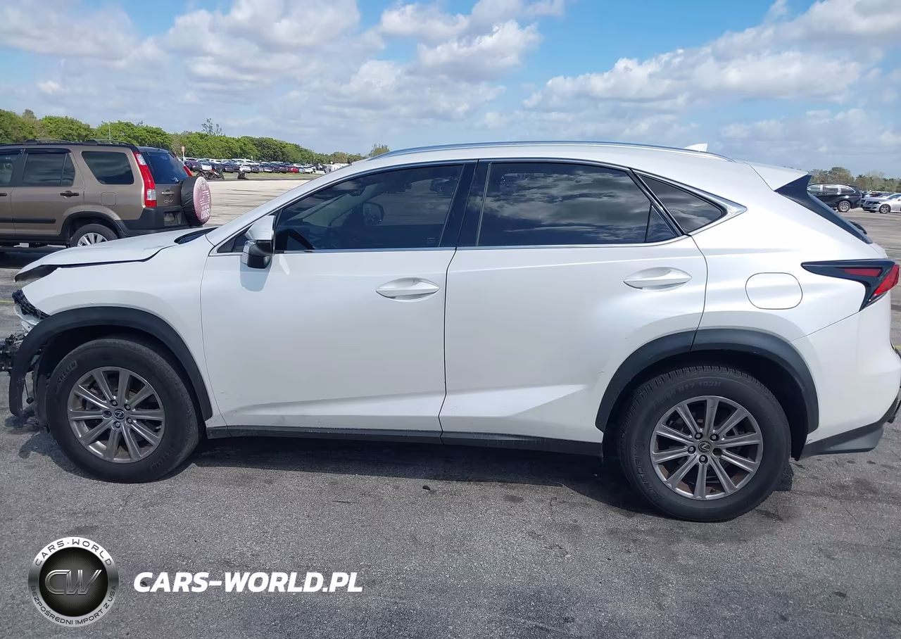 2021 Lexus Nx 300 VIN:JTJDARBZXM5031454 - 15