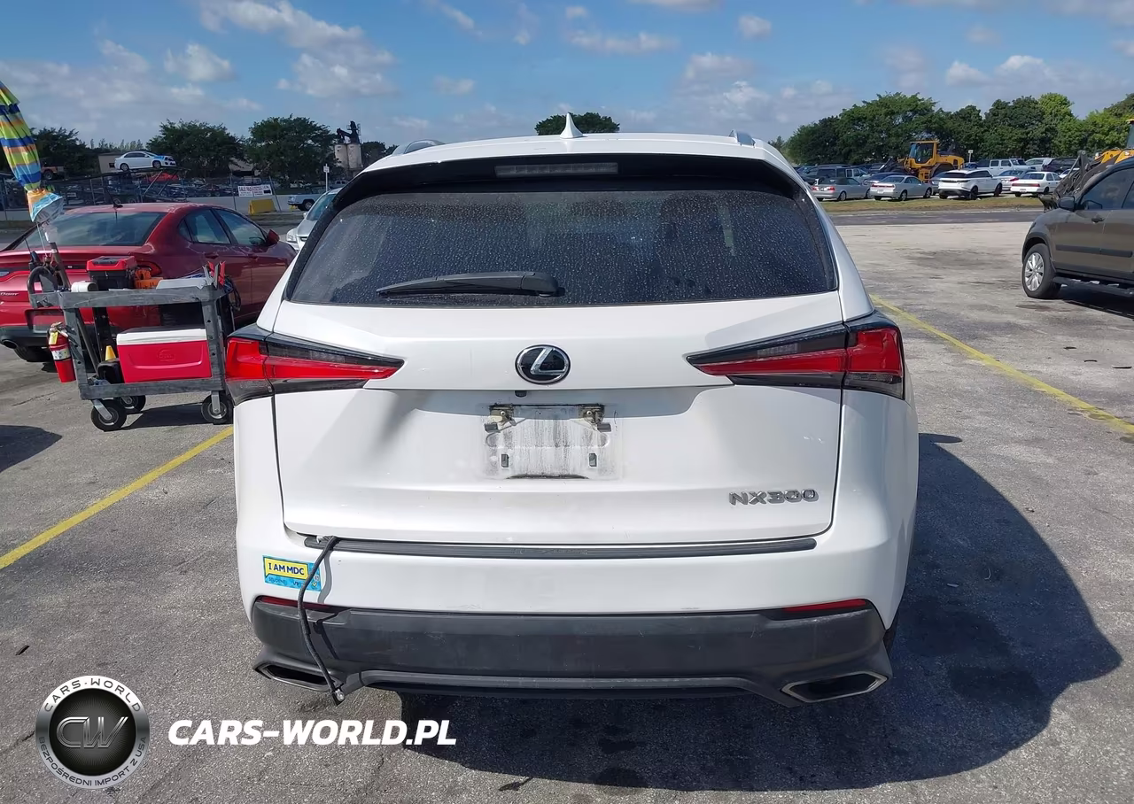 2021 Lexus Nx 300 VIN:JTJDARBZXM5031454 - 17