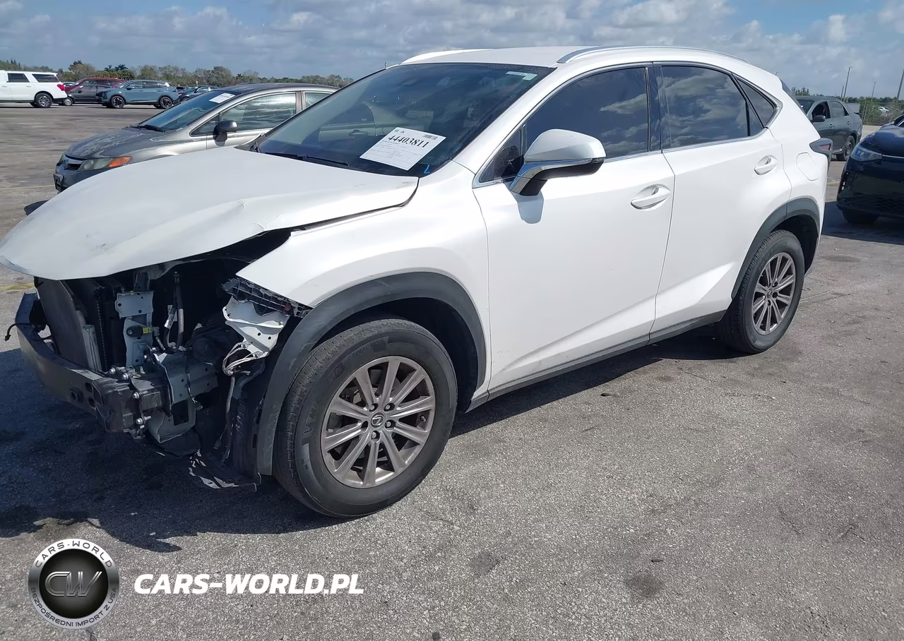 2021 Lexus Nx 300 VIN:JTJDARBZXM5031454 - 2
