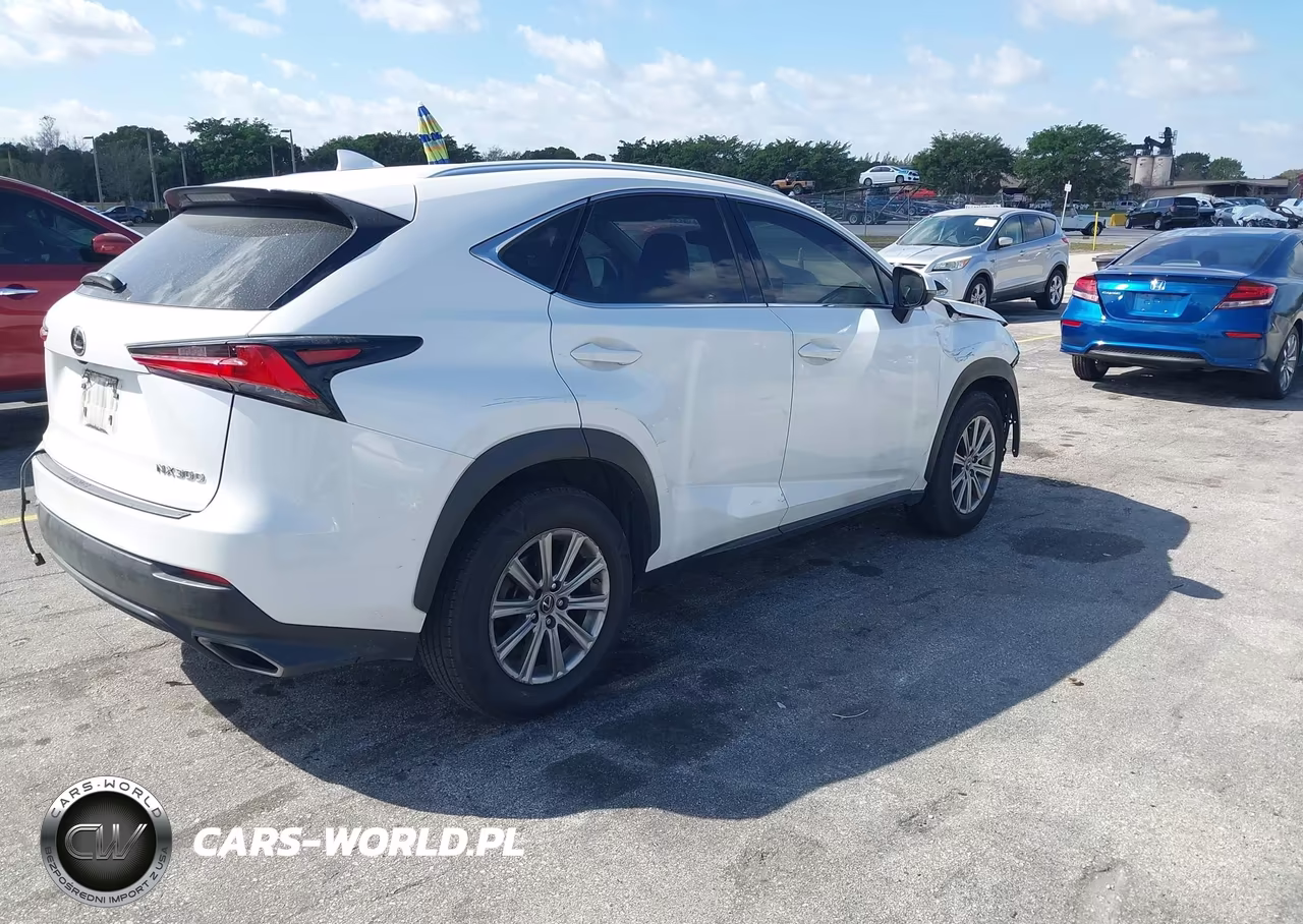 2021 Lexus Nx 300 VIN:JTJDARBZXM5031454 - 4