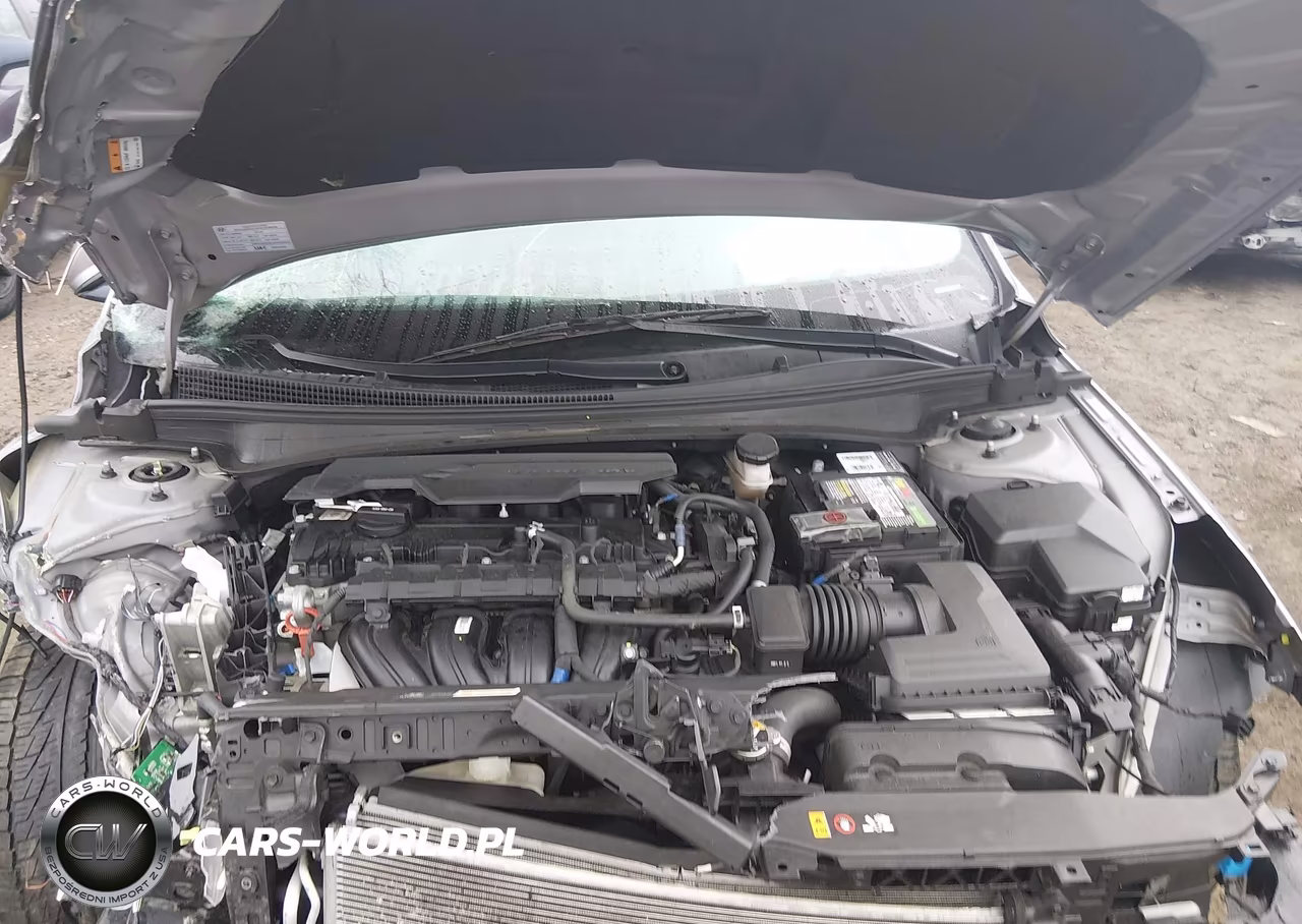 2021 Hyundai Elantra Limited VIN:KMHLP4AG4MU165216 - 10