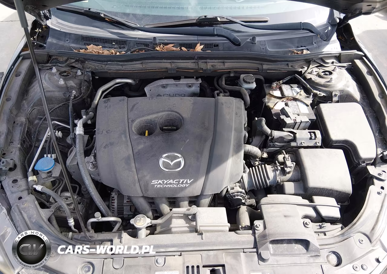 2015 Mazda Mazda3 I Sport VIN:JM1BM1U72F1221189 - 10
