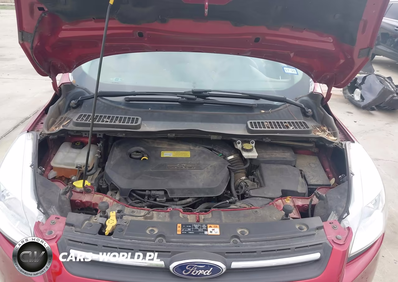 2014 Ford Escape Se VIN:1FMCU0GX9EUC07423 - 10