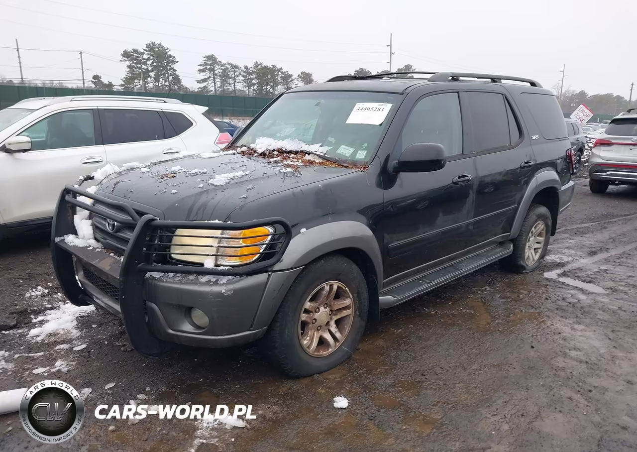 2004 Toyota Sequoia Sr5 VIN:5TDBT44A94S216734 - 2